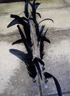 Town Hall Gallery - Accommodation Fremantle 2