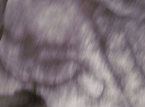 69 Smith Street - Accommodation Fremantle 1