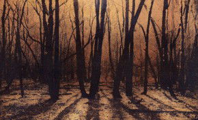 69 Smith Street - Accommodation Fremantle 2