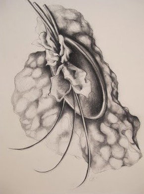 The Library Artspace - Accommodation Fremantle 1