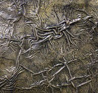 Hawthorn Studio & Gallery - Accommodation Fremantle 0