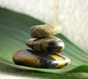 The Nature Of Balance - Accommodation Fremantle 0