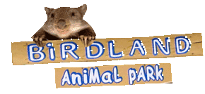 Birdland Animal Park - Accommodation Fremantle
