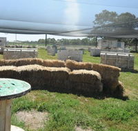 We Are Paintball - Accommodation Fremantle