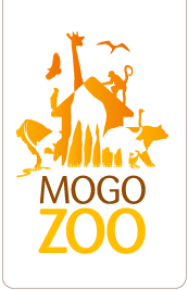 Mogo Zoo - Accommodation Fremantle 0