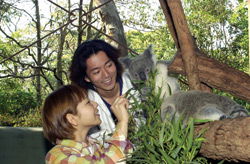 Taronga Zoo - Accommodation Fremantle 2