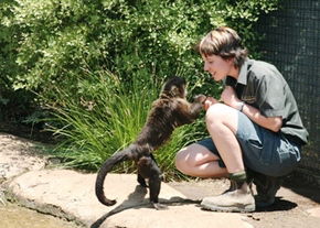 National Zoo & Aquarium - Accommodation Fremantle 1