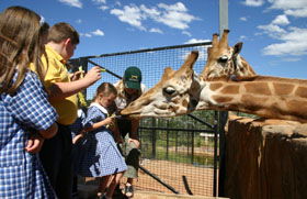 National Zoo & Aquarium - Accommodation Fremantle 2