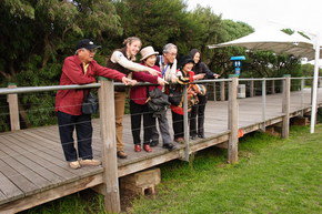 Phillip Island Penguin Parade - Accommodation Fremantle 1