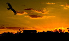 Werribee Open Range Zoo - Accommodation Fremantle 1