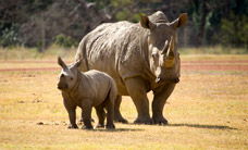 Werribee Open Range Zoo - Accommodation Fremantle 3