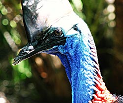 Alma Park Zoo - Accommodation Fremantle 0