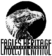 Eagles Heritage - Accommodation Fremantle 0