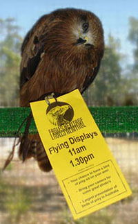 Eagles Heritage - Accommodation Fremantle 1