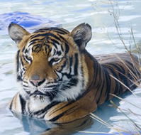 Zoo Doo Wildlife Park - Accommodation Fremantle