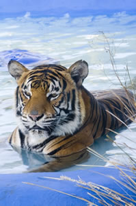 Zoo Doo Wildlife Park - Accommodation Fremantle 0