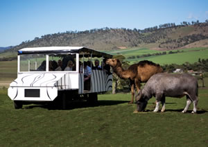 Zoo Doo Wildlife Park - Accommodation Fremantle 2