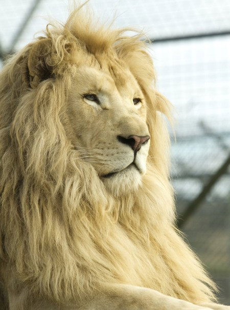 Zoo Doo Wildlife Park - Accommodation Fremantle 3