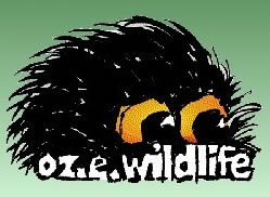 OZe Wildlife - Accommodation Fremantle 0