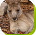 Calmsley Hill City Farm - Accommodation Fremantle