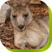 Calmsley Hill City Farm - Accommodation Fremantle 0