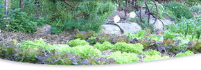 Calmsley Hill City Farm - Accommodation Fremantle 1