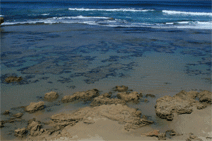 Canberra Contemporary Art Space - Accommodation Fremantle 0