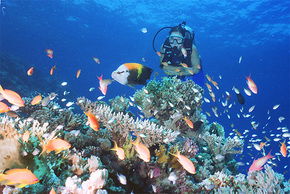  Accommodation Fremantle