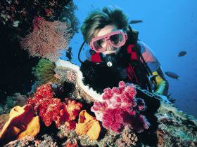 Gold Coast Seaway Dive Site - Accommodation Fremantle 0