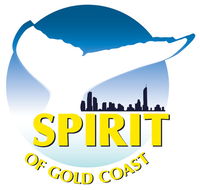Spirit of Gold Coast Whale Watching - Accommodation Fremantle