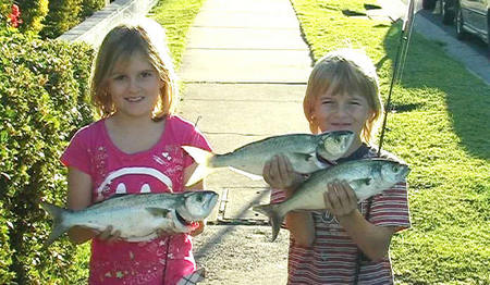 Swan Boat Hire - Accommodation Fremantle 3