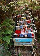 Scenic World Blue Mountains - Accommodation Fremantle 2