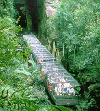 Scenic World Blue Mountains - Accommodation Fremantle 3