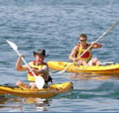 Manly Kayaks - Accommodation Fremantle