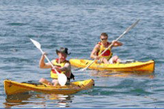 Manly Kayaks - Accommodation Fremantle 0