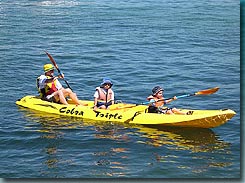 Manly Kayaks - Accommodation Fremantle 3