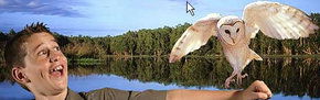 Territory Wildlife Park - Accommodation Fremantle 2