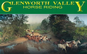 Peats Ridge NSW Accommodation Fremantle