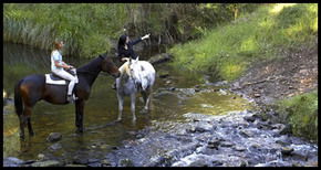 Glenworth Valley Horseriding - Accommodation Fremantle 1