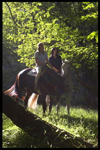 Glenworth Valley Horseriding - Accommodation Fremantle 2