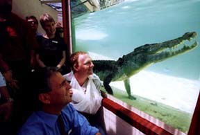 Alice Springs Reptile Centre - Accommodation Fremantle 1