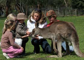 Gumbuya Park - Accommodation Fremantle 1