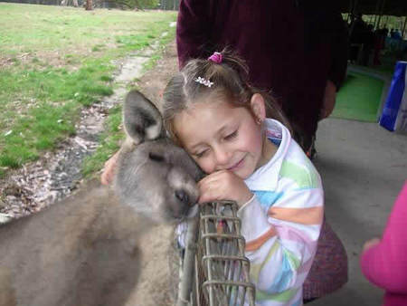 Gumbuya Park - Accommodation Fremantle 3
