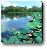 Kakadu National Park - Accommodation Fremantle 3