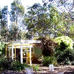 Koala Conservation Centre - Accommodation Fremantle 1