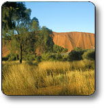 Areyonga NT Accommodation Fremantle