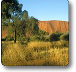 Uluru - Kata Tjuta National Park - Accommodation Fremantle