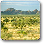 Uluru - Kata Tjuta National Park - Accommodation Fremantle 2