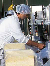 Allansford Cheese World - Accommodation Fremantle 1
