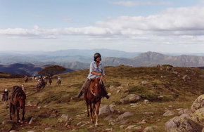 High Country Horses - Accommodation Fremantle 0